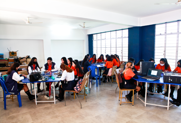 undergraduate education